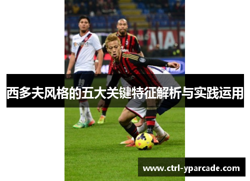 西多夫风格的五大关键特征解析与实践运用